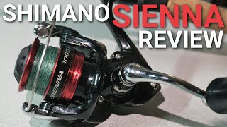 Shimano Sienna Review30 Best Value Spinning Reel [upl. by Martelli]