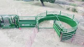 Working cows alone with Arrowquip Squeeze chute and Bud flow tub [upl. by Irtimd]