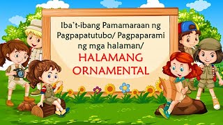 IBA’TIBANG PAMAMARAAN NG PAGTUTUBOPAGPAPARAMI NG MGA HALAMAN AT HALAMANG ORNAMENTAL [upl. by Iago]