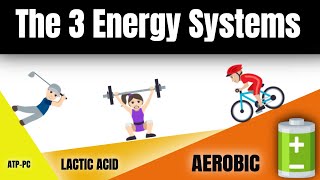 Learn the 3 Energy Systems ATPPC Lactic Acid amp Aerobic [upl. by Biernat]