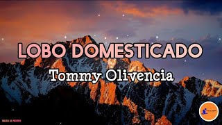 LOBO DOMESTICADO  Tommy Olivencia LetraSalsaCali [upl. by Hitchcock151]