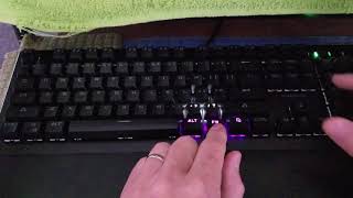 Blackweb Mechanical Gaming Keyboard [upl. by Stearne]