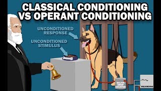 CLASSICAL VS OPERANT CONDITIONING [upl. by Leirad]