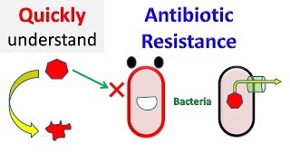 Antibiotic resistance [upl. by Neira]