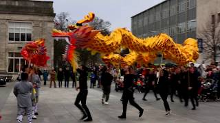 Dragon Dance for Chinese New Year 2020 [upl. by Ynnol]