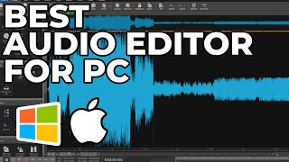 Best Audio Editor For PC [upl. by Elcarim]