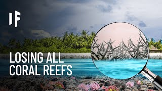 What If Earth Lost All Its Coral Reefs [upl. by Adleremse]