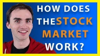 How Does The Stock Market Work  Stock Market Basics [upl. by Cantu]