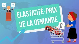 Lélasticitéprix de la demande [upl. by Derrick33]