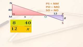 Triangulos semejantes y proporcionalidad [upl. by Anilatak]