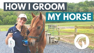 How to Groom a Horse StepByStep Guide [upl. by Cherye]