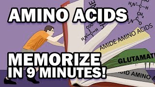 Memorize the 20 Amino Acids in 9 Minutes [upl. by Aizatsana]