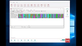 Making a Multiple Sequence Alignment in MEGA [upl. by Fogg343]