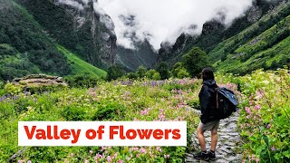 Valley of Flowers Trek  Uttarakhand  Heaven on Earth [upl. by Beilul974]