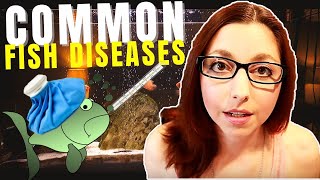 5 Common Fish Diseases And How To Spot And Treat Them [upl. by Vish]