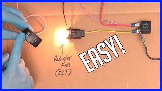 How to Wire a Relay  Full Tutorial [upl. by Ahsi4]