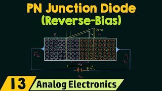 PN Junction Diode ReverseBias Condition [upl. by Nnaael87]