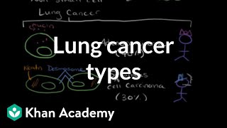 Leukemia classifications  Hematologic System Diseases  NCLEXRN  Khan Academy [upl. by Karly]