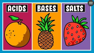 Acids Bases And Salts  Chemistry [upl. by Augustina759]