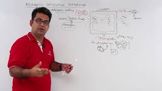 Adiabatic Saturation Temperature [upl. by Aronas]