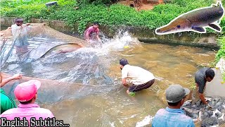 Catching 130Kg Arapaima amp 5 Feet Alligator Gar  An Exclusive Video [upl. by Airliah]