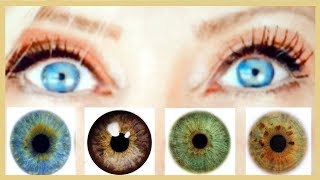 The SECRET to making your EYE COLOR POP [upl. by Namajneb]