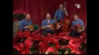 Schwyzerörgeliquartett Habkern Roman Polka [upl. by Sidonius]