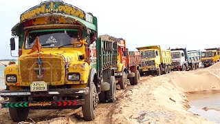 Tippers Formation of Line for Loading of Sand  Lorry Videos  Truck Videos  TIPPER LORRY TRUCK [upl. by Esialb490]