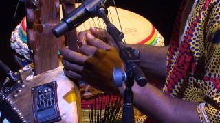 The Griot tradition of West Africa  Sibo Bangoura  TEDxSydney [upl. by Suivart]