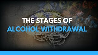 The Stages of Alcohol Withdrawal [upl. by Nilved540]