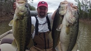 How to fish Lipless Crankbaits  Bass Fishing [upl. by Chere675]