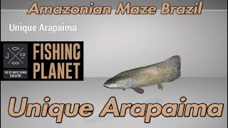 Unique Arapaima  Amazonian Maze Brazil  Fishing Planet Guide [upl. by Ramirol606]