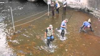 Salmon Snagging Oak Orchard Dam [upl. by Serafina932]