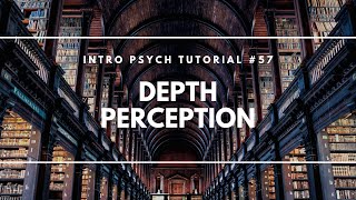 Depth Perception Intro Psych Tutorial 57 [upl. by Nerag]