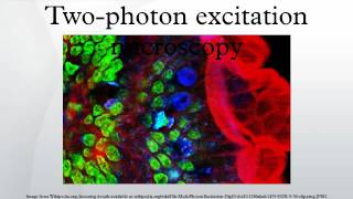 Twophoton excitation microscopy [upl. by Amaryllis251]