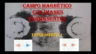 FÍSICA EXPERIMENTO 1 CAMPO MAGNÉTICO [upl. by Akkim566]