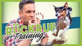 Rückruftraining  Deinem Hund oder Welpen KOMM beibringen [upl. by Fiester256]