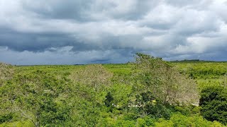 Ejido La Lucha  Calakmul  Campeche [upl. by Spear]