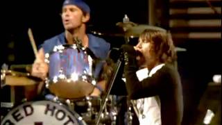 Red Hot Chili Peppers  Parallel Universe  Live at Slane Castle [upl. by Menard]