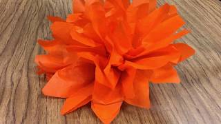 How to Make Tissue Paper Flowers for Day of the Dead [upl. by Jedediah574]