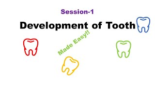 Development of Tooth  Odontogenesis Session 1 [upl. by Acirrehs665]