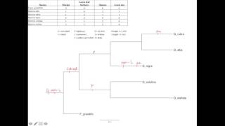 Map traits onto a phylogenetic tree and make a figure [upl. by Adamec]