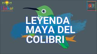 LEYENDA MAYA DEL COLIBRI  CUENTOS DE LEYENDA [upl. by Yblek]