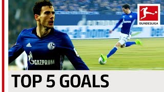 Leon Goretzka  Top 5 Goals [upl. by Adnuhsed970]