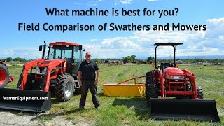 Field Comparison Swathers Drum Mowers and Disc Mowers [upl. by Grey363]