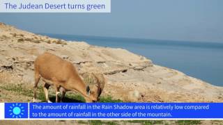 The Judean Desert Turns Green [upl. by Joseph]