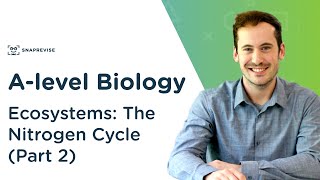 IGCSE BIOLOGY REVISION Syllabus 20  Nutrient Cycles [upl. by Solahcin]