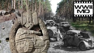 WWII Metal Detecting  German Panzer and SS  Discover History on the Eastern Front [upl. by Norraj]