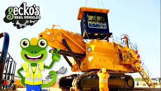 Lets Build A GIANT Excavator For Kids  Geckos Real Vehicles  Educational Videos For Toddlers [upl. by Nolla]