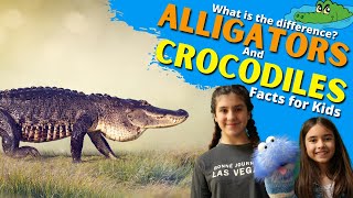 Differences Between an Alligator and Crocodile  Alligator vs Crocodile  Facts for Kids [upl. by Nelli572]